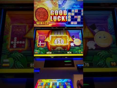 Zebra Bingo Casino Review: A Top Choice for UK Players Seeking English Language Gaming