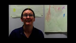 Childhood Studies - Playwork