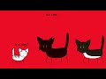 Коты-воители. Долгое эхо ~ в двух словах