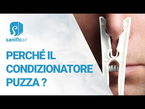 Video: Il Condizionatore Puzza Di Freon?