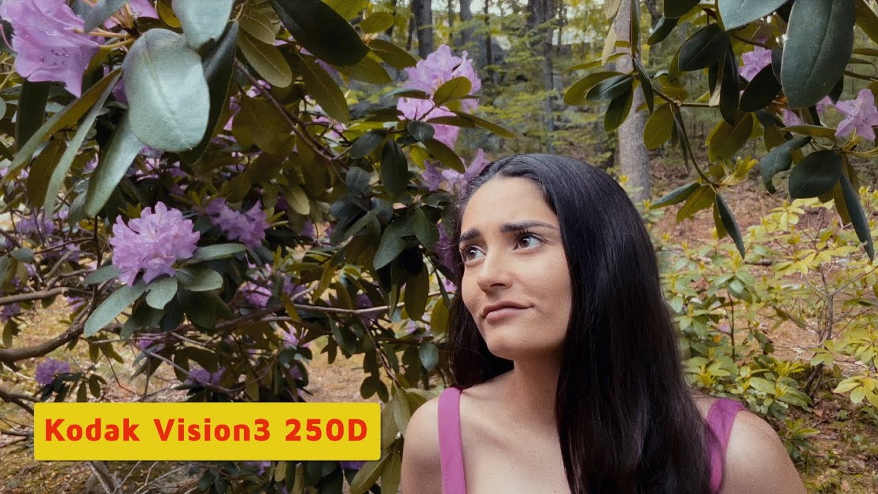 Dehancer review iPhone film emulation perfected? YouTube