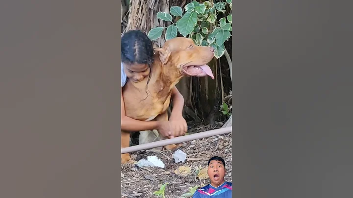 OMG😱😱😱#animals #cow #horsetrack #funny #horse #animallife #shorts