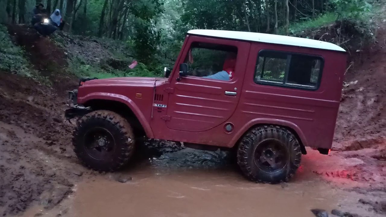 Taft kebo satu di habisi lima jimny | offroad Extreme