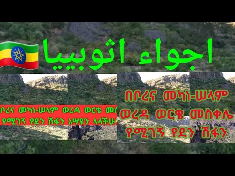 ቪዲዮ: በዛሞቲን ሽፋን ስር ስኮልኮቮ