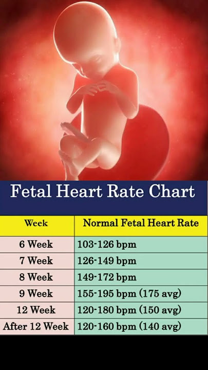 free-normal-fetal-heart-rate-chart-download-in-pdf-42-off