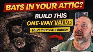 Bats in Your Attic? Make a DIY One-Way Valve to Get Rid of Them