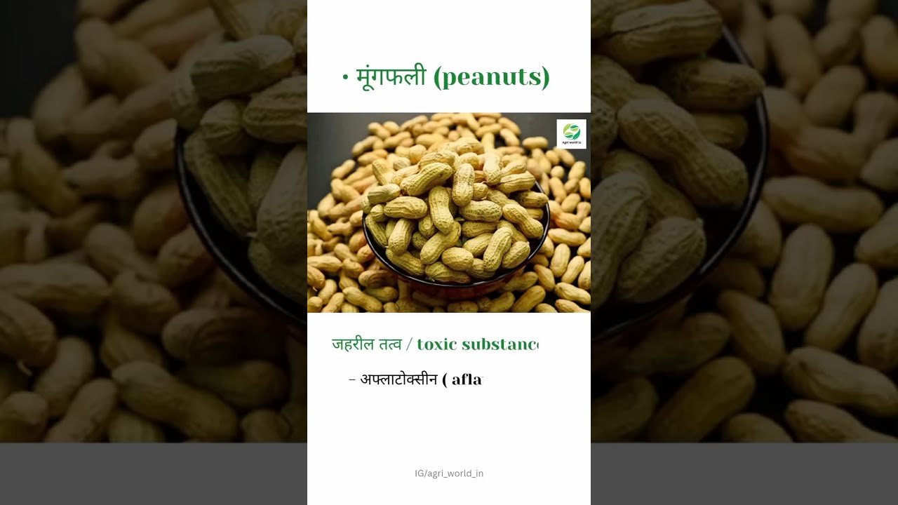 Crop Toxic Substances YouTube Crop Toxic Substances YouTube