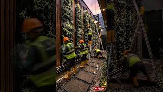 from ugly walls to beautiful vertical gardens... "Reveal Industrial Vertical Garden" #beforeafter