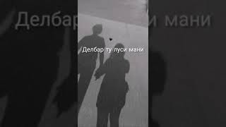 Ebi Ali - Делбар ту луси мани ту тоза аруси мани /delbar to lusi mani tou toza arusi mani pari tobus