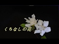 くちなしの花    ♫オリジナル歌手:テレサ-テン  ♪カバ-マンリイ歌詞付き