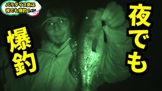 誰でも投げれば100匹釣れる夢の島行ってきた＃７　バス釣り　Bass fishing in Japan