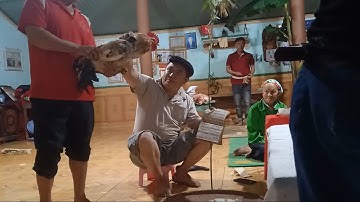 Kềm Miền Sáng Vườn ,Pó Mạnh ,Lễ chuộc Hồn Nối mạng sống lâu dao đỏ