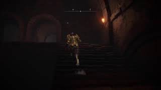 Elden RING DLC [PS5] [Part 2] [Livestream]