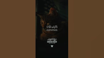 راحة نفسية 🖤🎧#تلاوة_خاشعة #قرآن #راحة_نفسية #quran #حالات_واتس #اكسبلور #المصحف