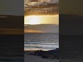Incase you missed the sunset 🥹 #sunset #sunsetview #fuerteventura #travel