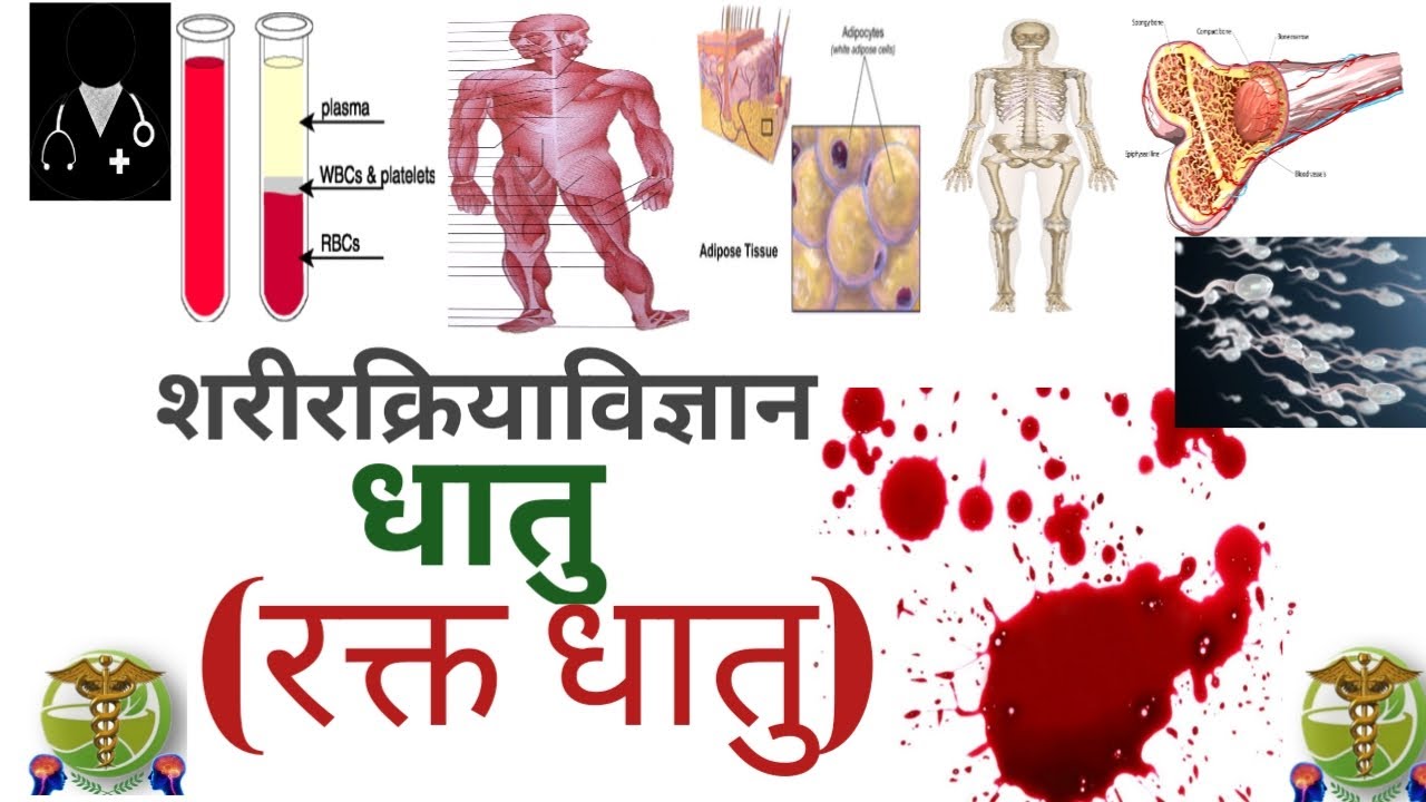 BAMS first year lecture l Rakth Dhatu (रक्‍त धातु) l  Sharir Kriya l EASY EXPLANATION