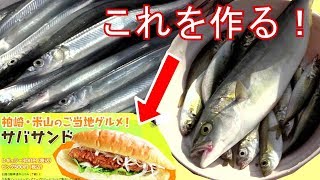 ゼロ０からのサバサンド  キャンピングカー漂流3日目