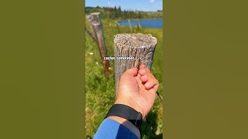 Would you be persistent enough to find this tricky fence post cache, or would you log a DNF?! 👀