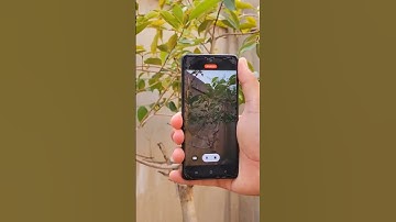 Samsung Galaxy A52S 5G Smart Phone Camera Video Stabilization Testing 🤯💯 Amazing #shorts