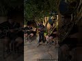 Ni Recompensa Ni Esperanza - Estilo Especial (Cover)
