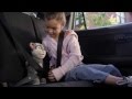 Cuddle Barn Talking Tom Commercial 
