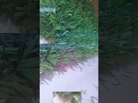 Зеленая изгородь Зеленая сетка Высота 1,7*5м, видео 1