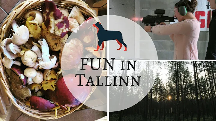 Vlog from Tallinn: Bank holiday weekend