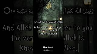 Quran 24:18 Allah Explains His Signs To You