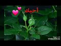 كلمات وضاح السقلدي