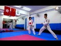 【Taekwondo】Combo Kicks, Turning Kicks, Single Kicks (Additional)