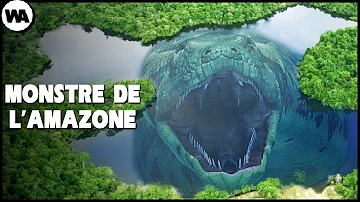 Comment s'appelle le fleuve qui traverse l'Amazonie ?