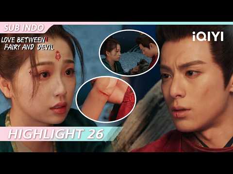 【HILGHLIGHT】Sang dewi menyembuhkan luka kekasihnya dengan darahnya🩸🥲 | iQIYI Indonesia