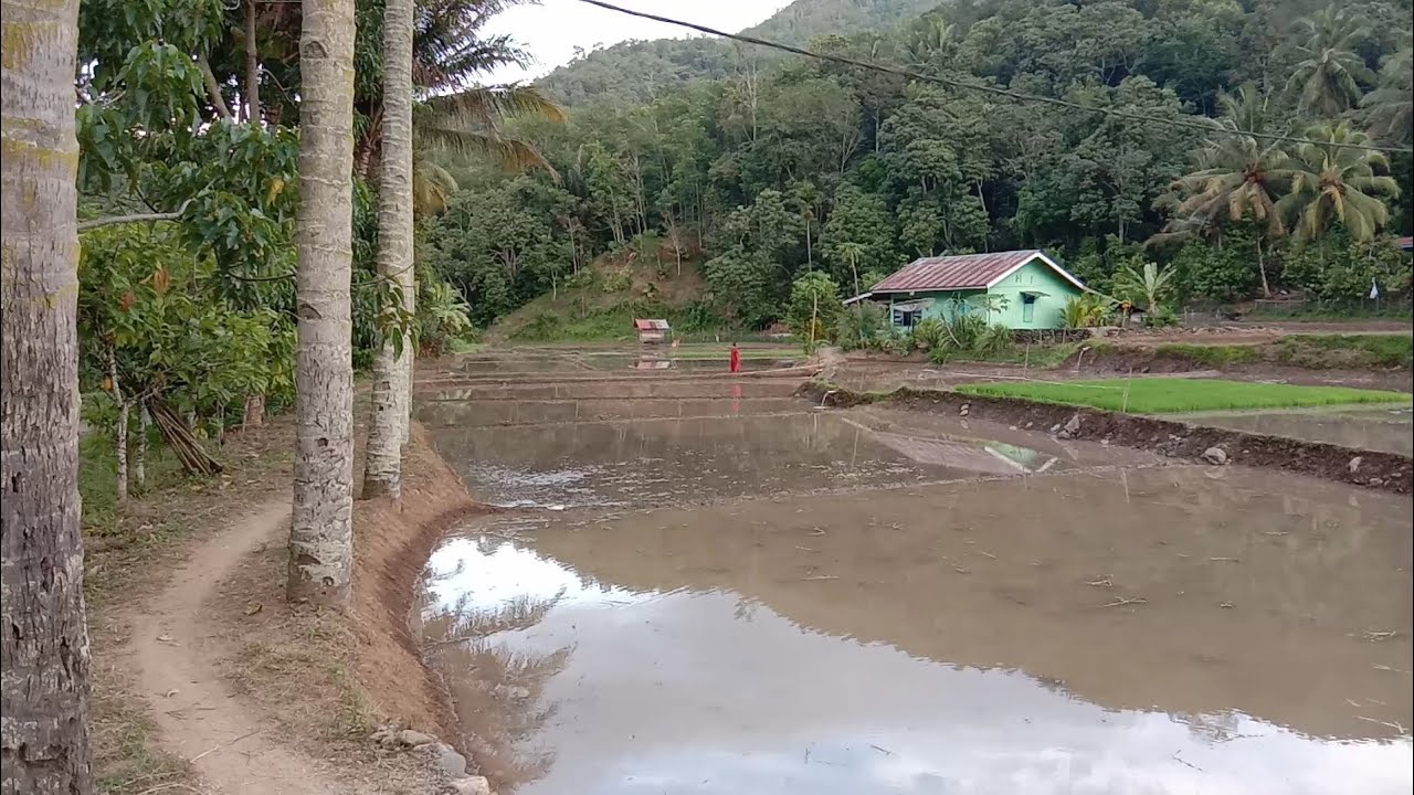 Desa yang sangat indah sekali ||talago gunung sawahlunto - YouTube