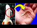 O Que São Aqueles Fiozinhos Da Banana? Show De Fatos 12