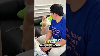 Cara Kucing Membalas Budi Kepada Majikannya.. 🐾 #cat #shorts