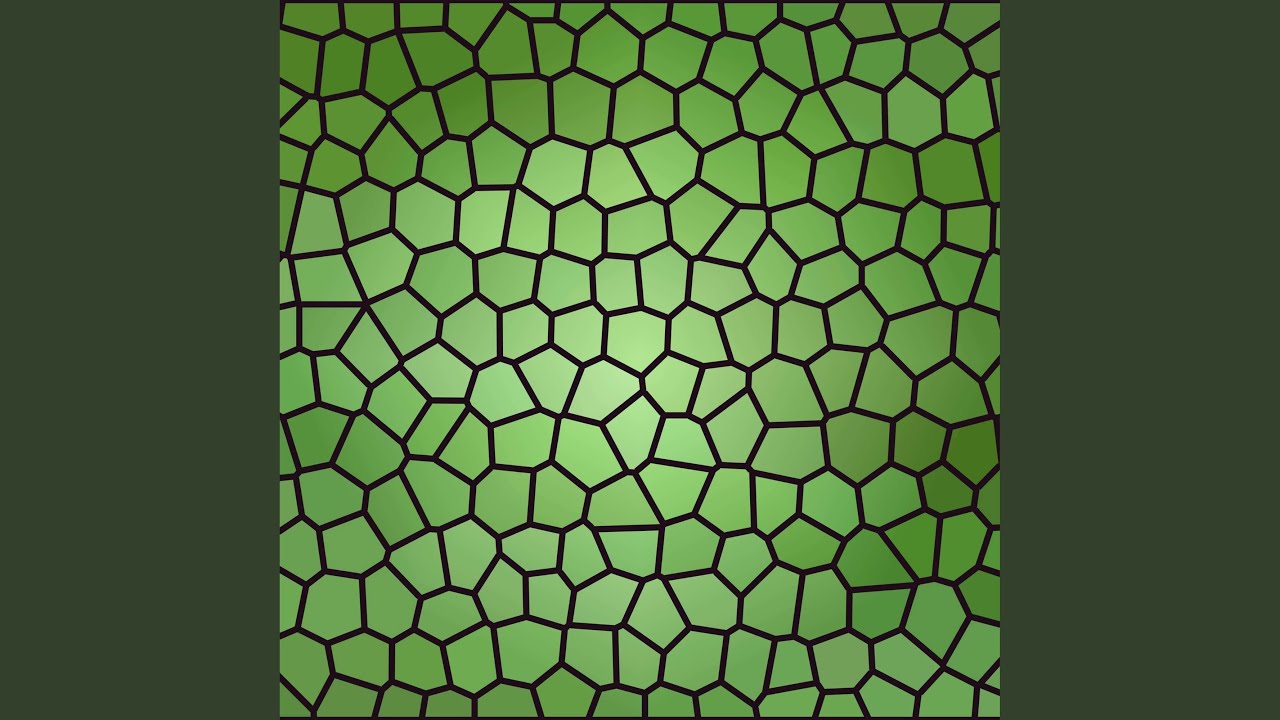 Remarkable Backdrops for Supportive Dreams