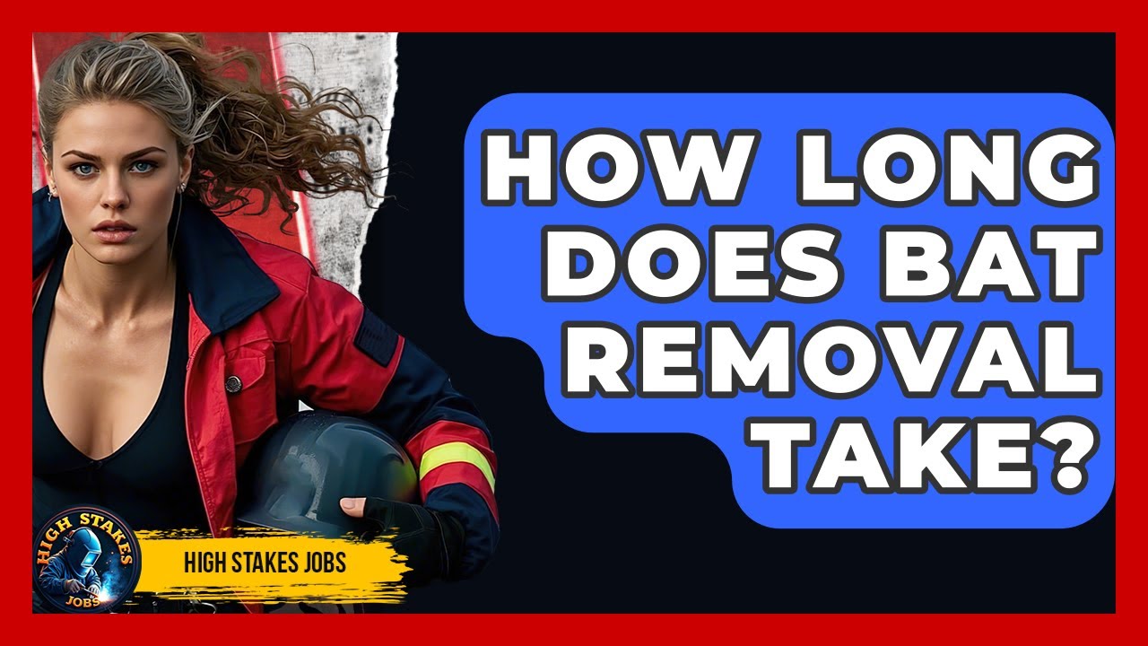 How Long Does Bat Removal Take? - High Stakes Jobs