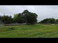 Quiet walk amongst nature