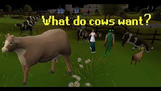 Attempting to figure out what cows want in Oldschool Runescape