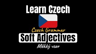 Czech Adjective Declension: Soft Pattern (Měkký vzor) screenshot 2