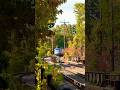 #Amtrak #passenger #train #diesellocomotive #traintracks #trainhorn #massachusetts #newengland #usa