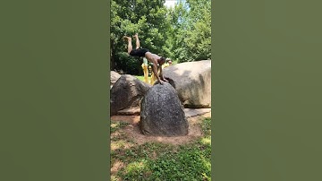 Rocking Double Kong Vault