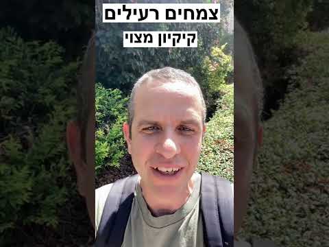 וִידֵאוֹ: מפלצת הפסטה של אילון מאסק