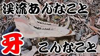 2021渓流釣り解禁　四方山話　堰堤、転倒、バラしまくり