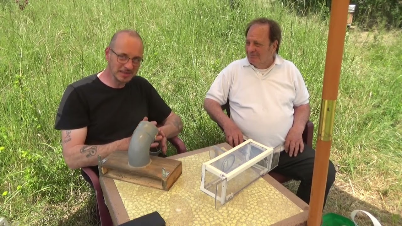 Frelon Asiatique - Norbert Mathieu nous parle de son invention : la Planche Norma (nouveau modèle)