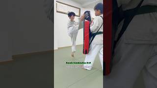 Download Lagu 【Karate Combination Drill】 #大谷道場 #空手 #fullcontactkarate #kyokushin #karate #martialarts #shorts MP3