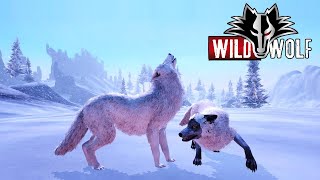 The Wild Wolf Simulator 2022 screenshot 4