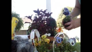 Fall planter for Part Sun and Shade