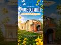 Slobodishche In Vinnytsia Region A Village Of Free People And Cossack Outposts Rootsandtraces 