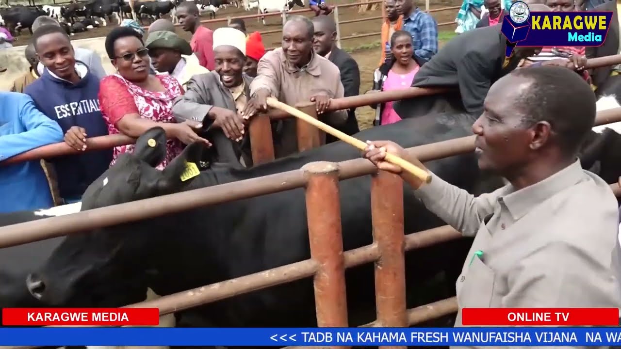 TADB NA KAHAMA FRESH WASHIRIKIANA KUWAINUA VIJANA NA WANAWAKE KARAGWE  KAGERA KUPITIA UFUGAJI